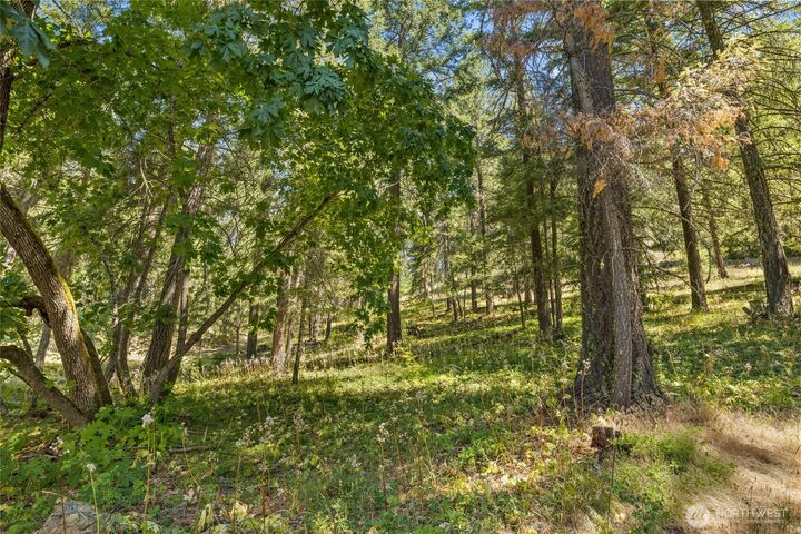 Property Photo: 0 Xxx Lava Lane WA 98940