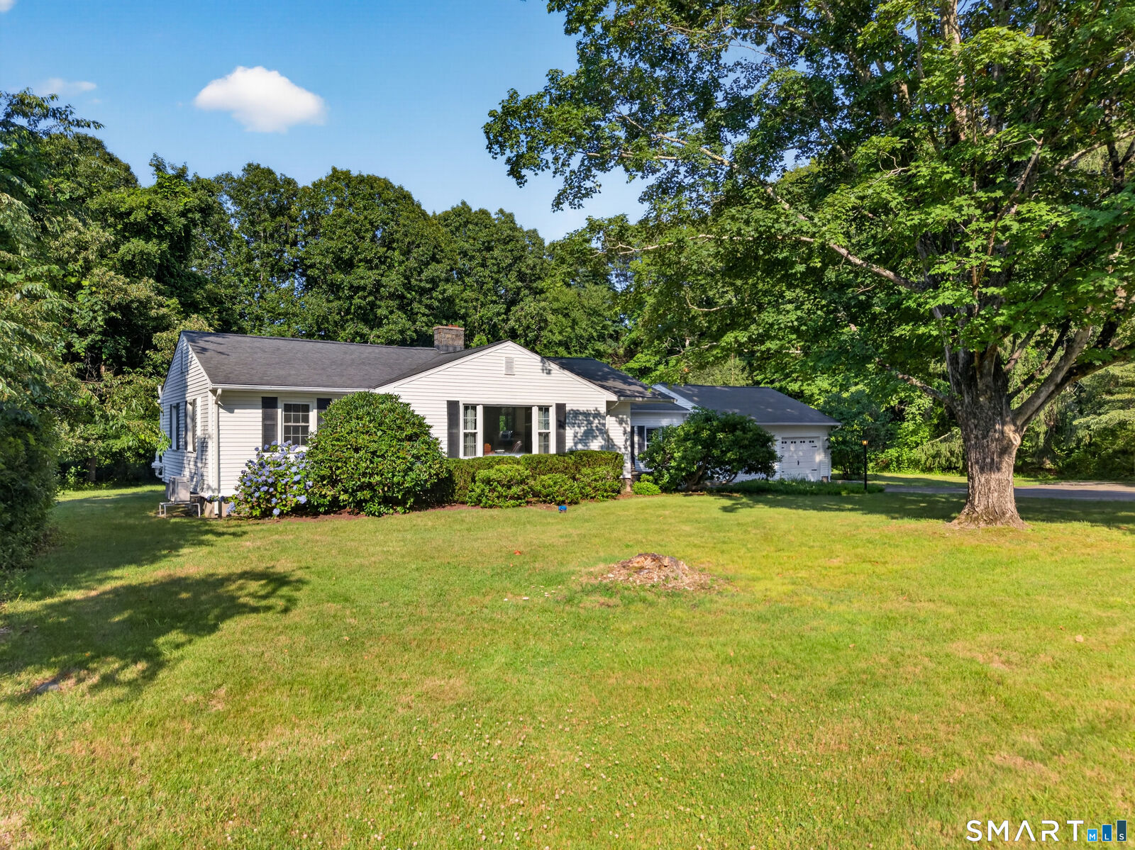 Property Photo:  252 Cow Hill Road  CT 06413 