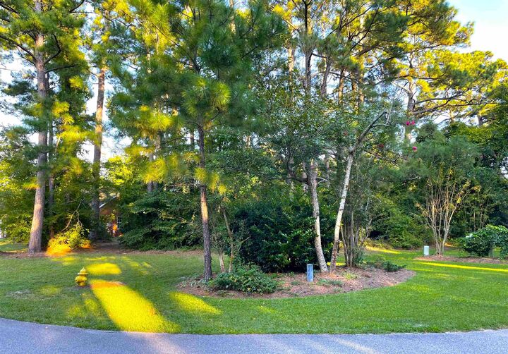 Property Photo: 4195 Golf Ave. SC 29566