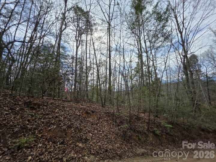 Property Photo: Lot 1 Kerlee Lane NC 28762