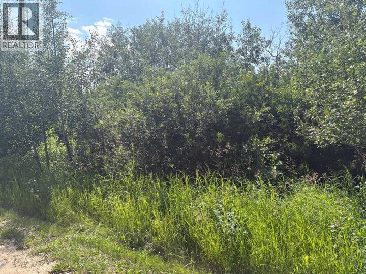 Property Photo:  50528 Range Road  AB T0B 2G0 