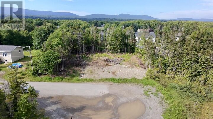 Property Photo:  13 Pine Avenue  NL A2N 3R3 