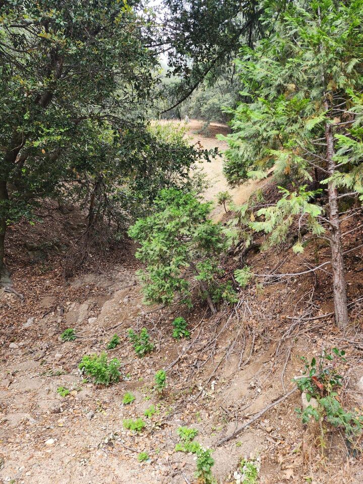 Property Photo: 0 Fern Canyon Road CA 92325