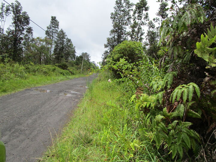 Property Photo: Alaula St HI 96785