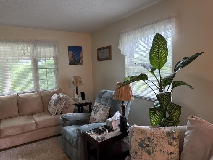 Property Photo:  3788 &Amp 3828 Green Valley Road  WV 25701 