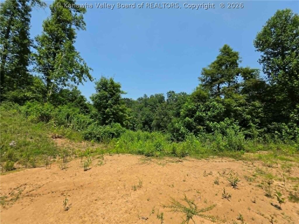 Property Photo:  4178 Blue Sulphur Road  WV 25545 
