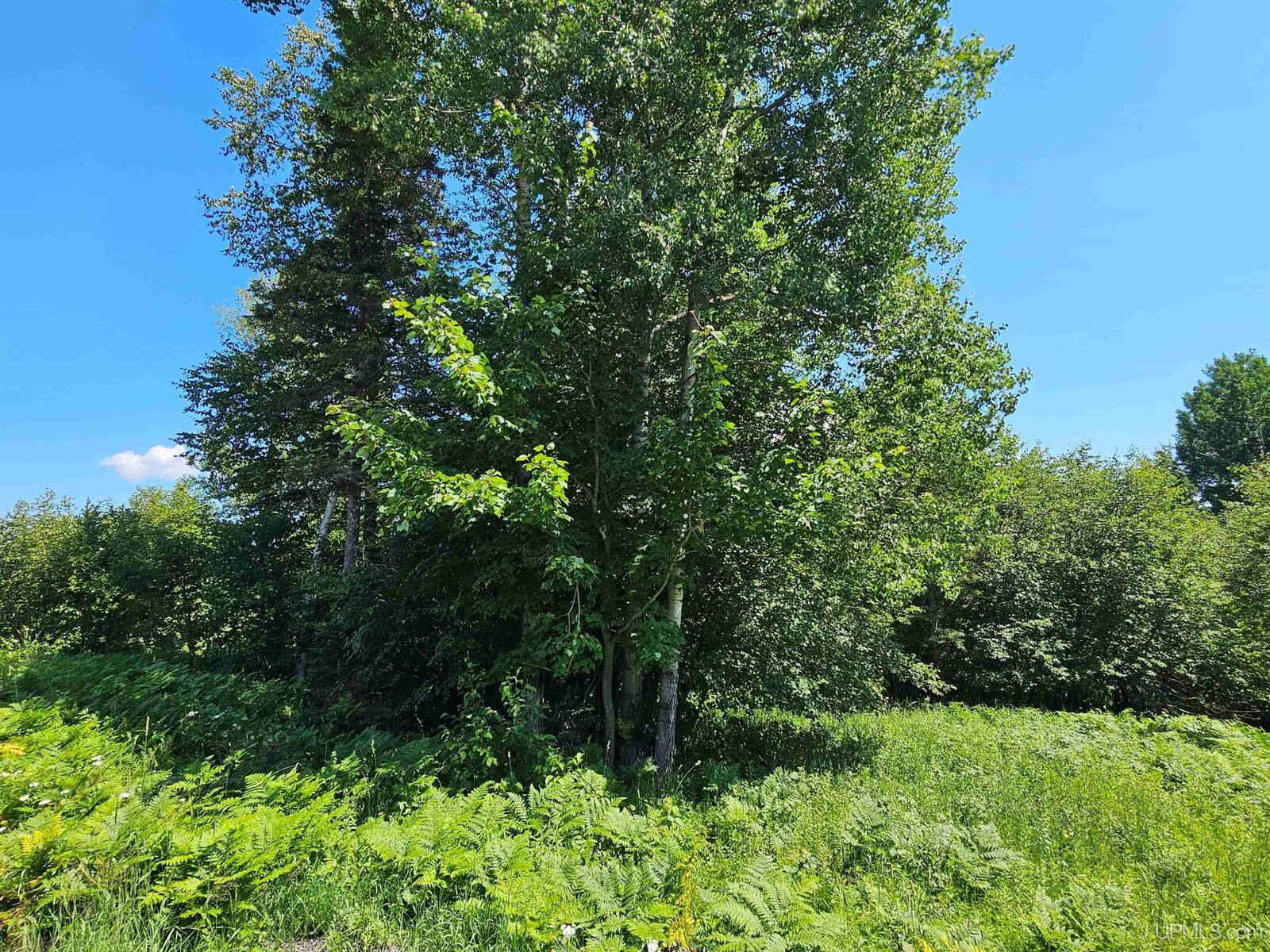 Property Photo:  Tbd Parcel M7 Applewood Drive  MI 49931 