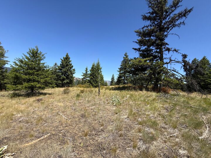 Property Photo:  135 Slippery Hill Ln  WA 99166 