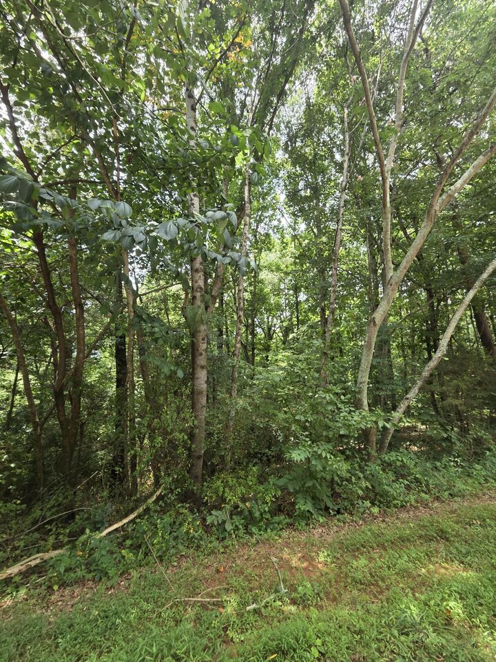 Property Photo: 0 Callen Cove TN 37303