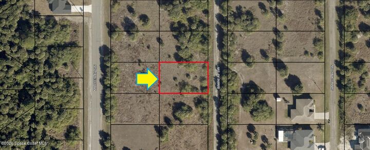 Property Photo:  2424 Bimini Avenue SW  FL 32908 