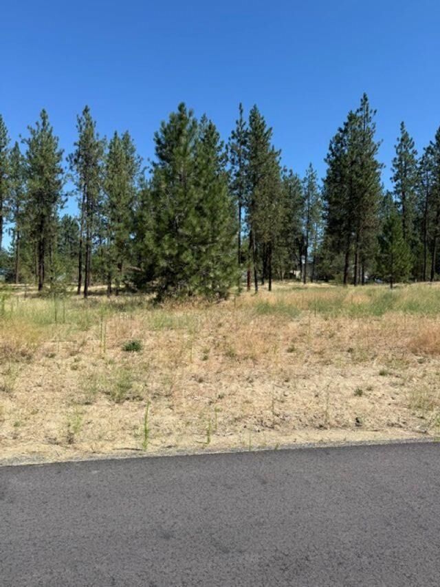 Property Photo: Lot 15 Long Lake Estates Est WA 99026
