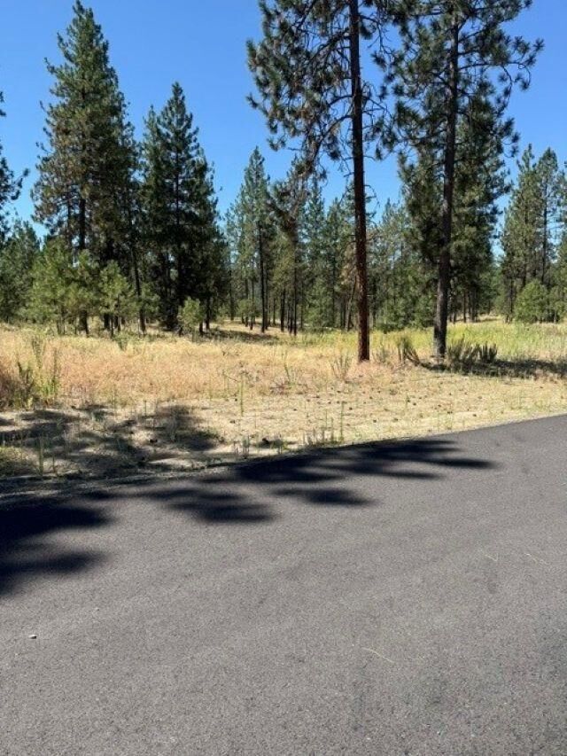 Property Photo: Lot 11 Long Lake Estates Est WA 99026