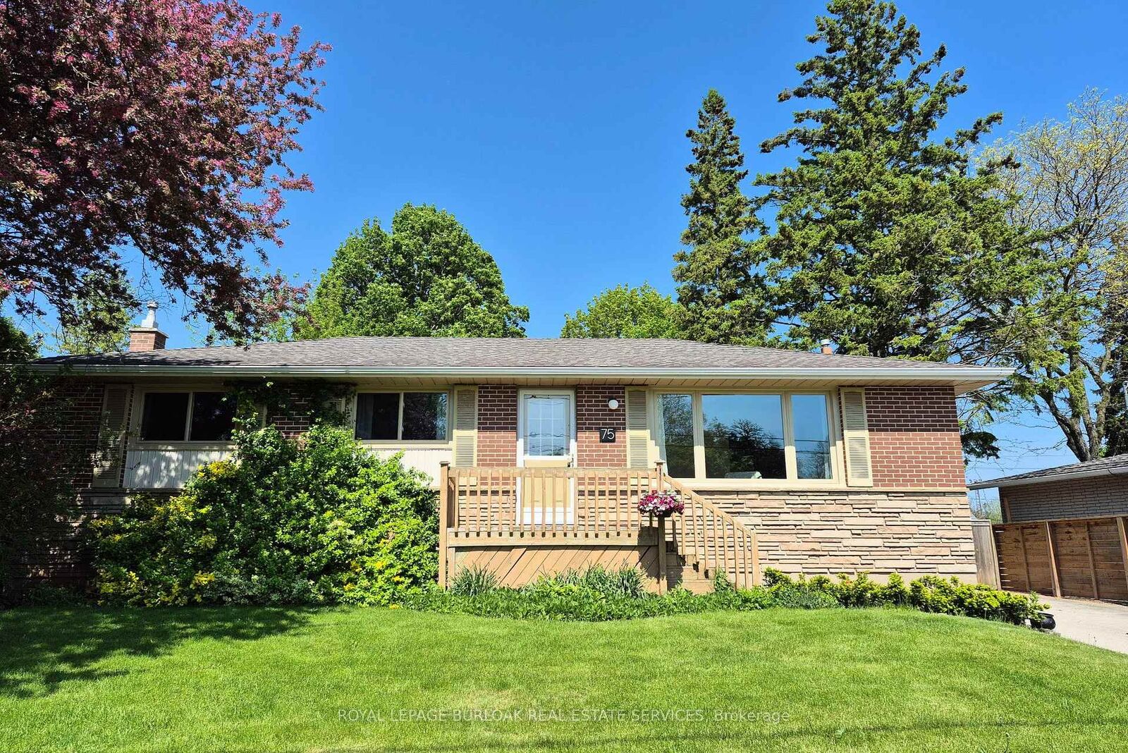 Property Photo:  75 Flamboro Street  ON L0R 2H0 