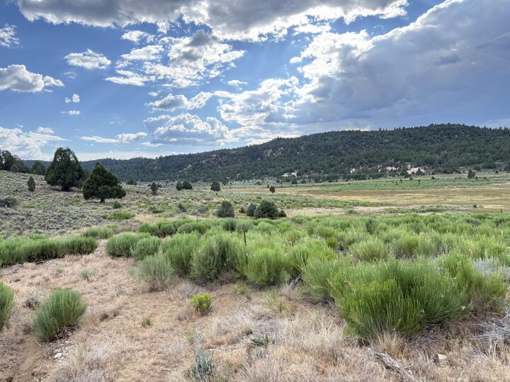 Property Photo: Chippewa Dr UT 84762