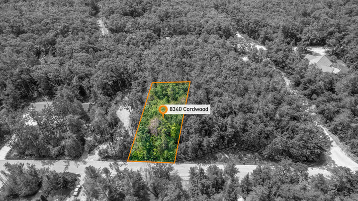 Property Photo: 8340 Cordwood Trail MI 49721