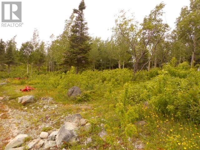 Property Photo:  00 Salt Pond Road  NL A0J 1T0 
