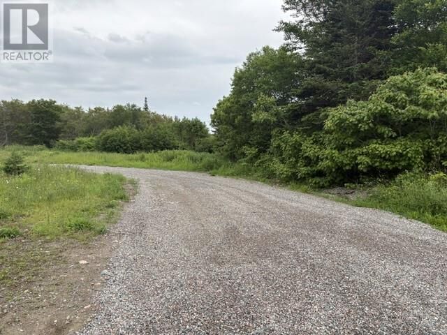 Property Photo:  0 Wheeler's Road  NL A2N 1S0 