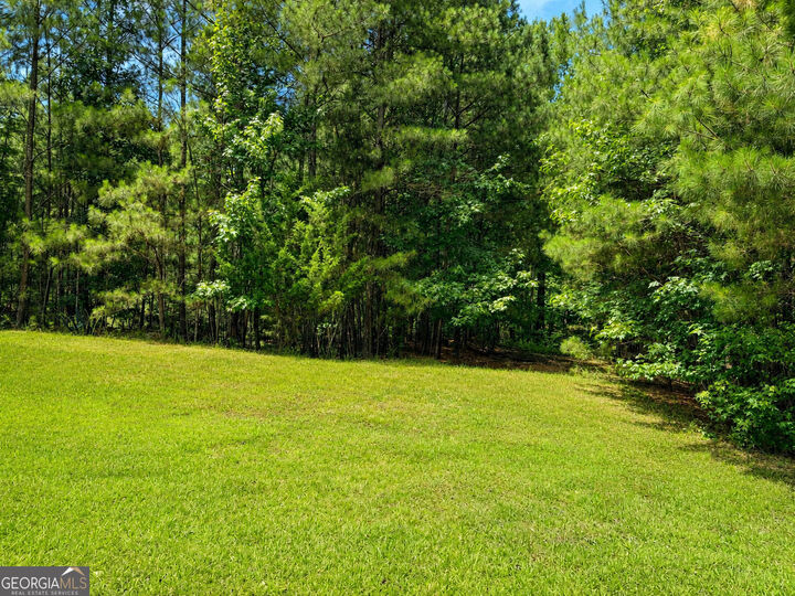Property Photo: 30 Cornish Trace Drive GA 30014