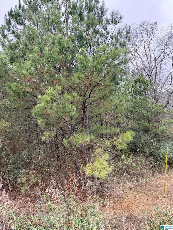Property Photo:  0 Armstrong Loop 0  AL 35079 