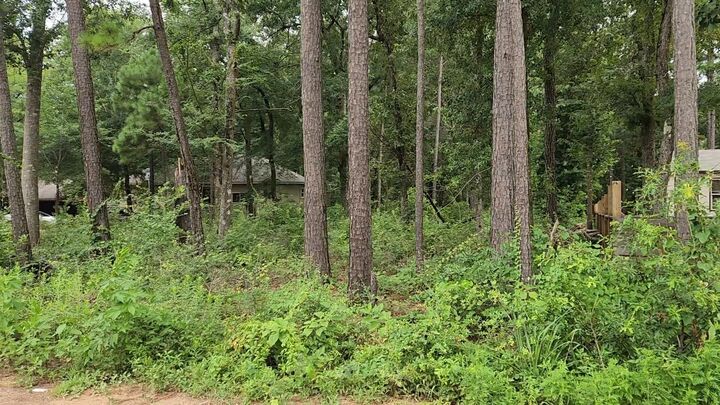 Property Photo: Lot 38 White Oak Drive TX 77363