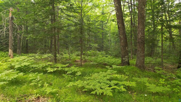 Property Photo:  Tbd N Loop Rd  WI 54832 