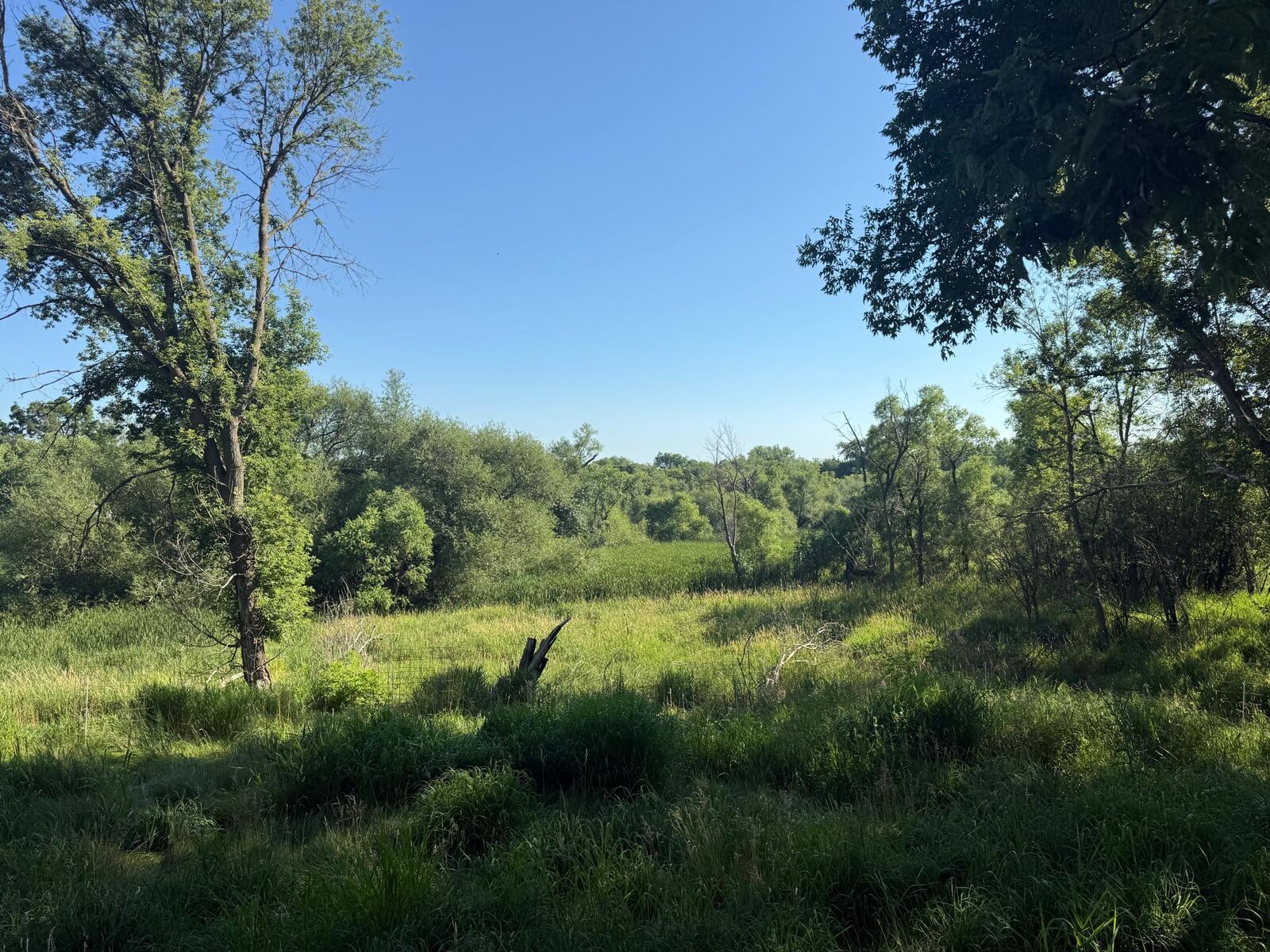 Property Photo: 130 10th Avenue NW MN 56334