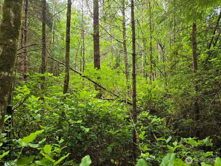 Property Photo: 0 Nka Ocean Beach Road WA 98536