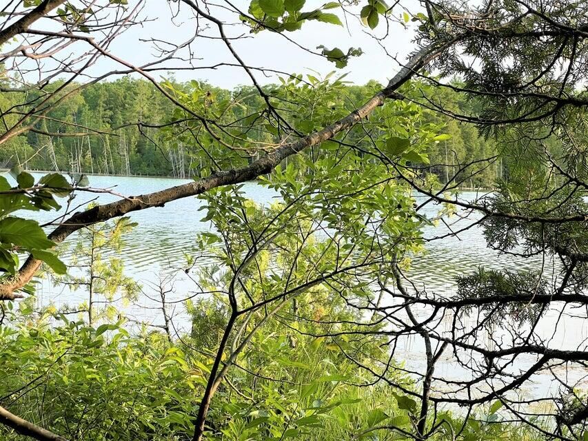 Property Photo: 5829 Krouse Road MI 49721