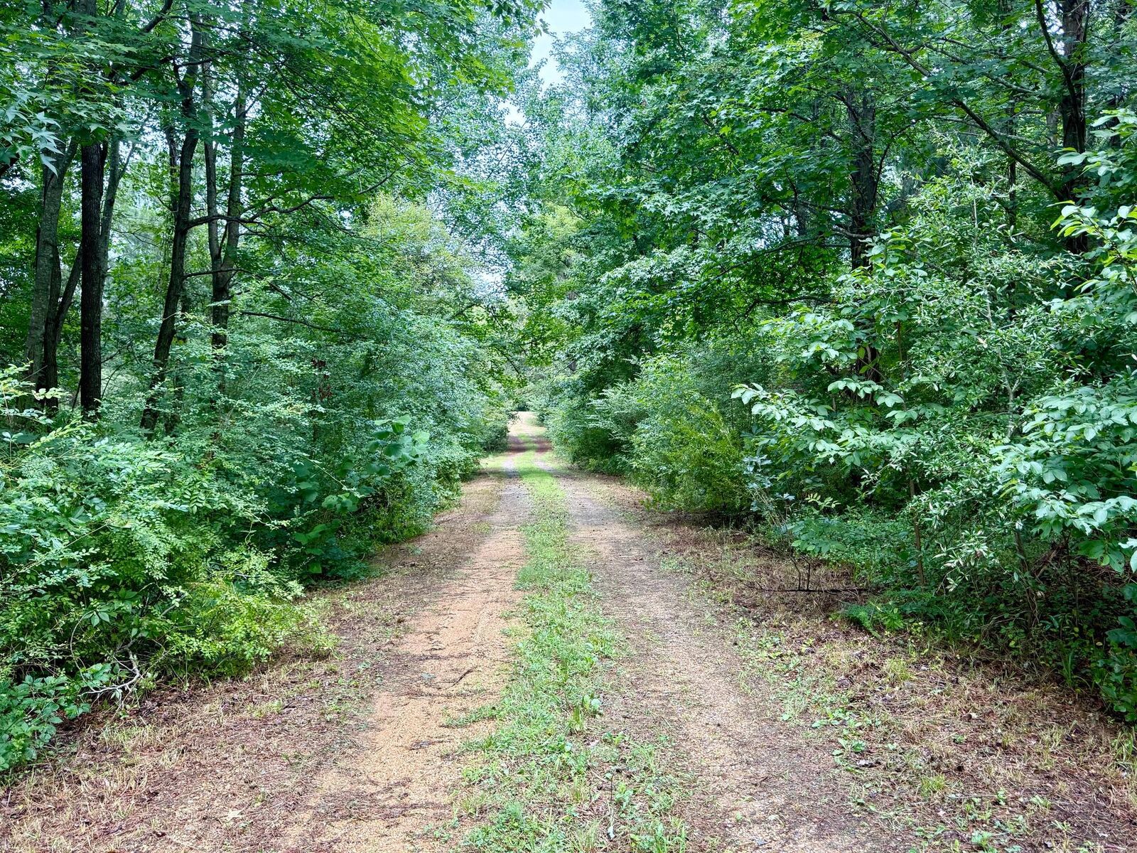 Property Photo: 45291 Take It Easy Ranch Road MD 20620