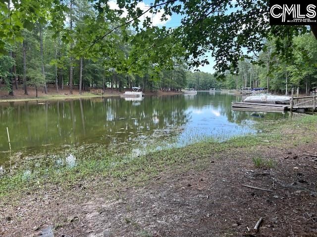 Property Photo: 110 John Long SC 29054