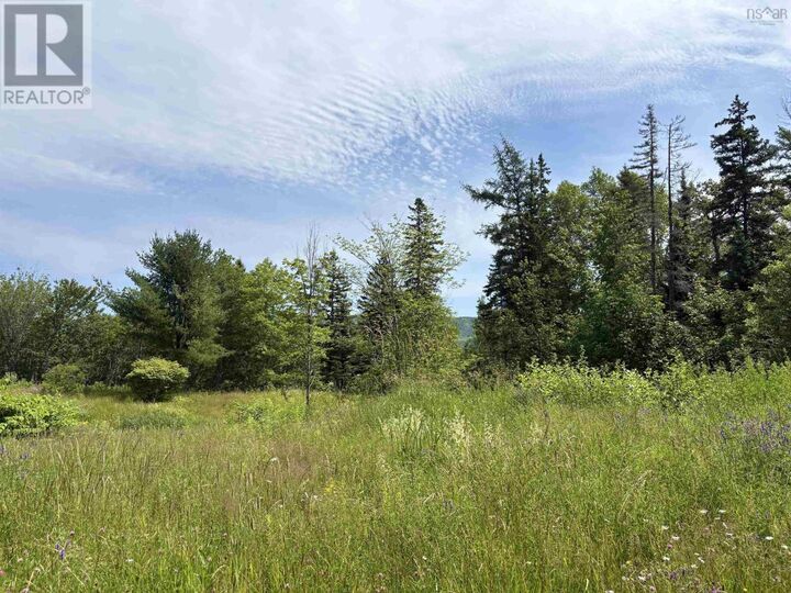 Property Photo: 1629 West Side Middle River NS B0E 1B0