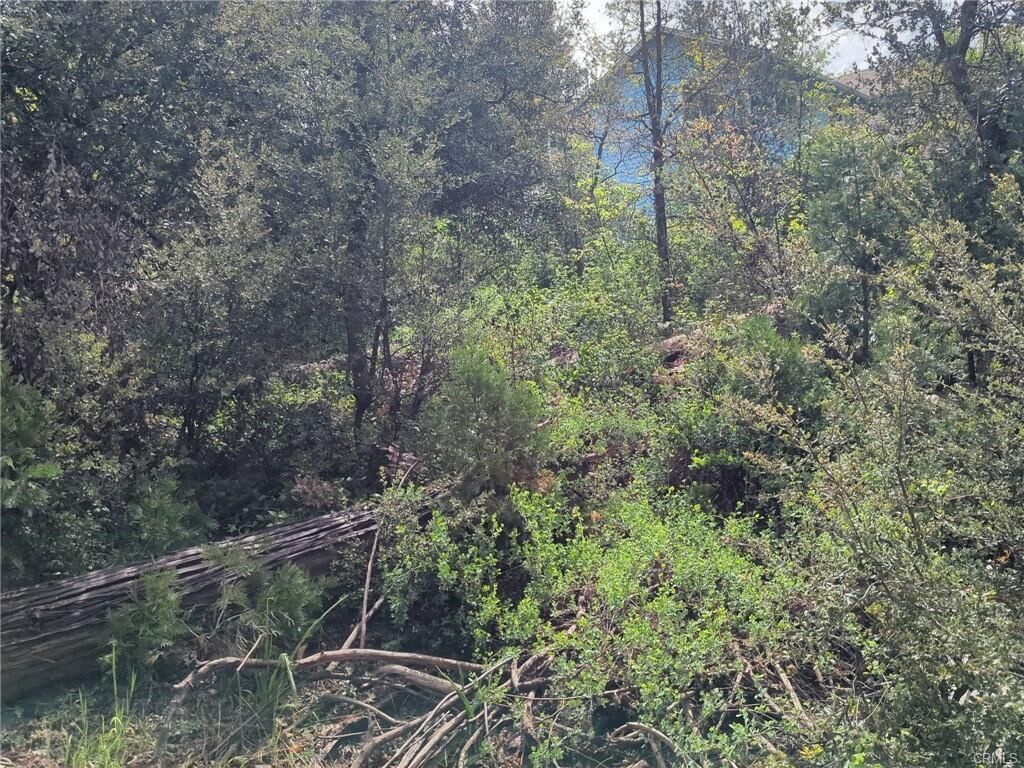 Property Photo:  53309 Road 432  CA 93604 