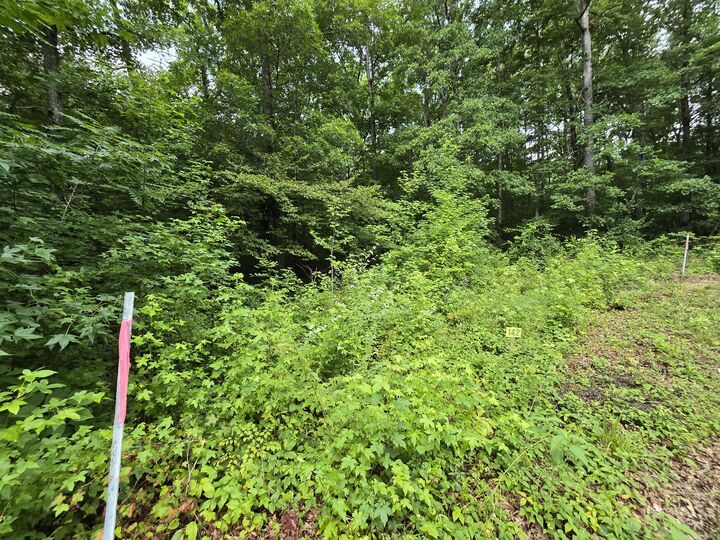 Property Photo:  Lot 142 Lower Brow Road  TN 37327 
