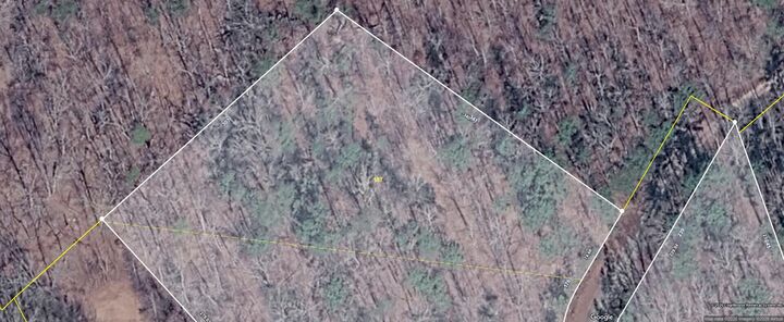 Property Photo:  Lot 157 Lower Brow Road  TN 37327 