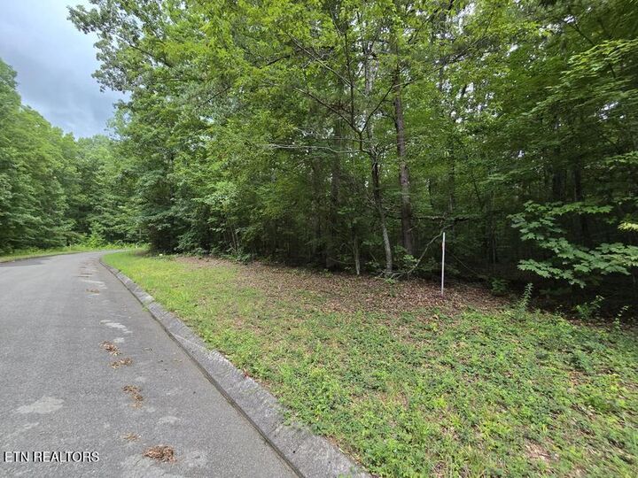 Property Photo:  Lot 140 Lower Brow Rd  TN 37327 