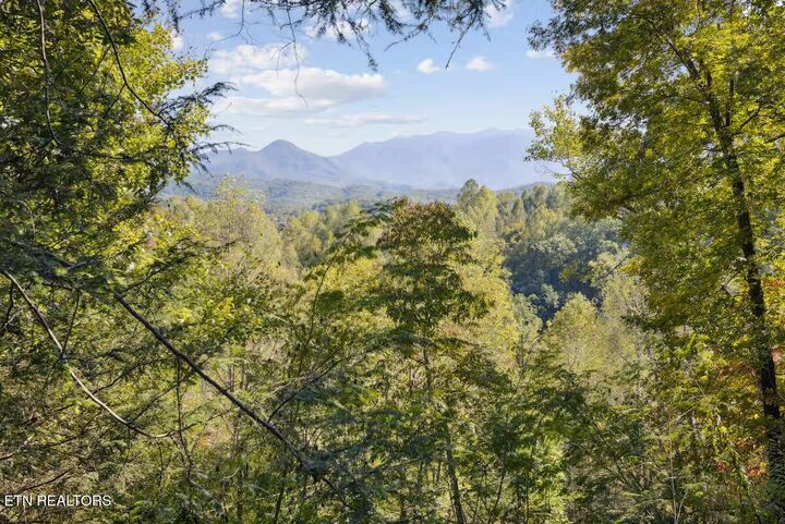 Property Photo: 552 Galloway Lane TN 37738