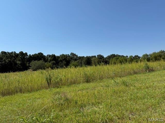Property Photo: 0 Lot 5 Mikathric Estates MO 63383