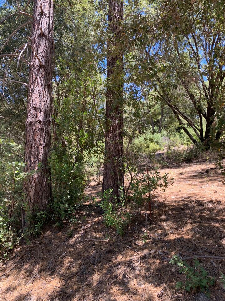 Property Photo: 685 Grant Lane CA 95247