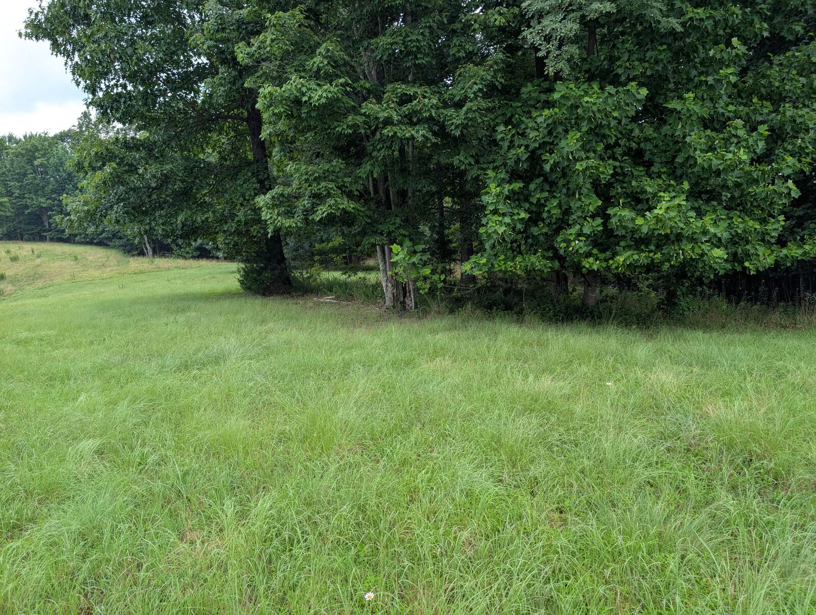 Property Photo: 580 Preservation Dr TN 37380