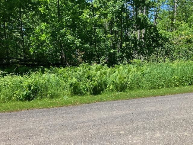 Property Photo: Tbd Maple Isle Court Unit 34 MI 49706