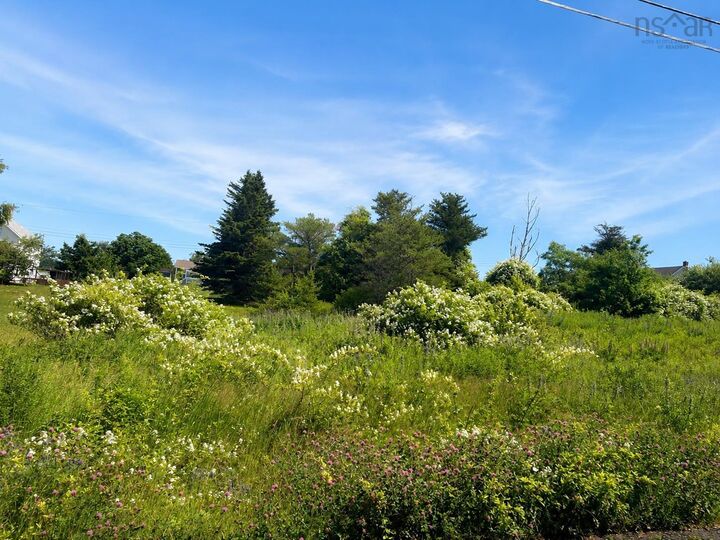 Lot 2026-1 Morrison Street — photo 1