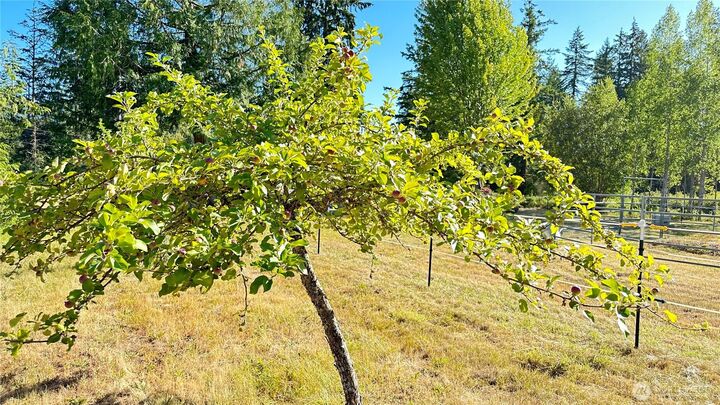 Property Photo: 11 E Michigan School Road WA 98382