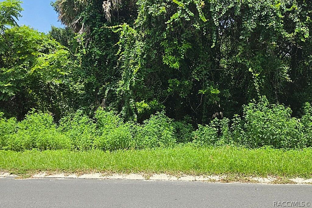 Property Photo:  1606 Caldwell Street  FL 34450 