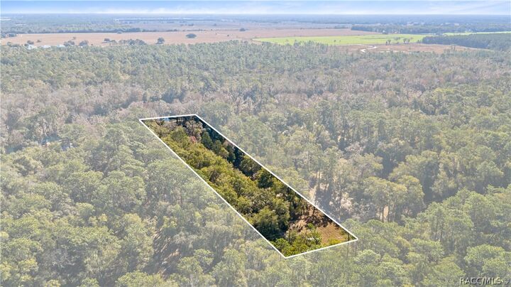 Property Photo: 10377 SW 186th Avenue FL 34432