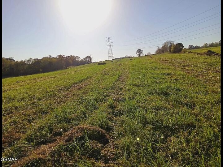 Property Photo: 436 Thorngrove Pike TN 37764
