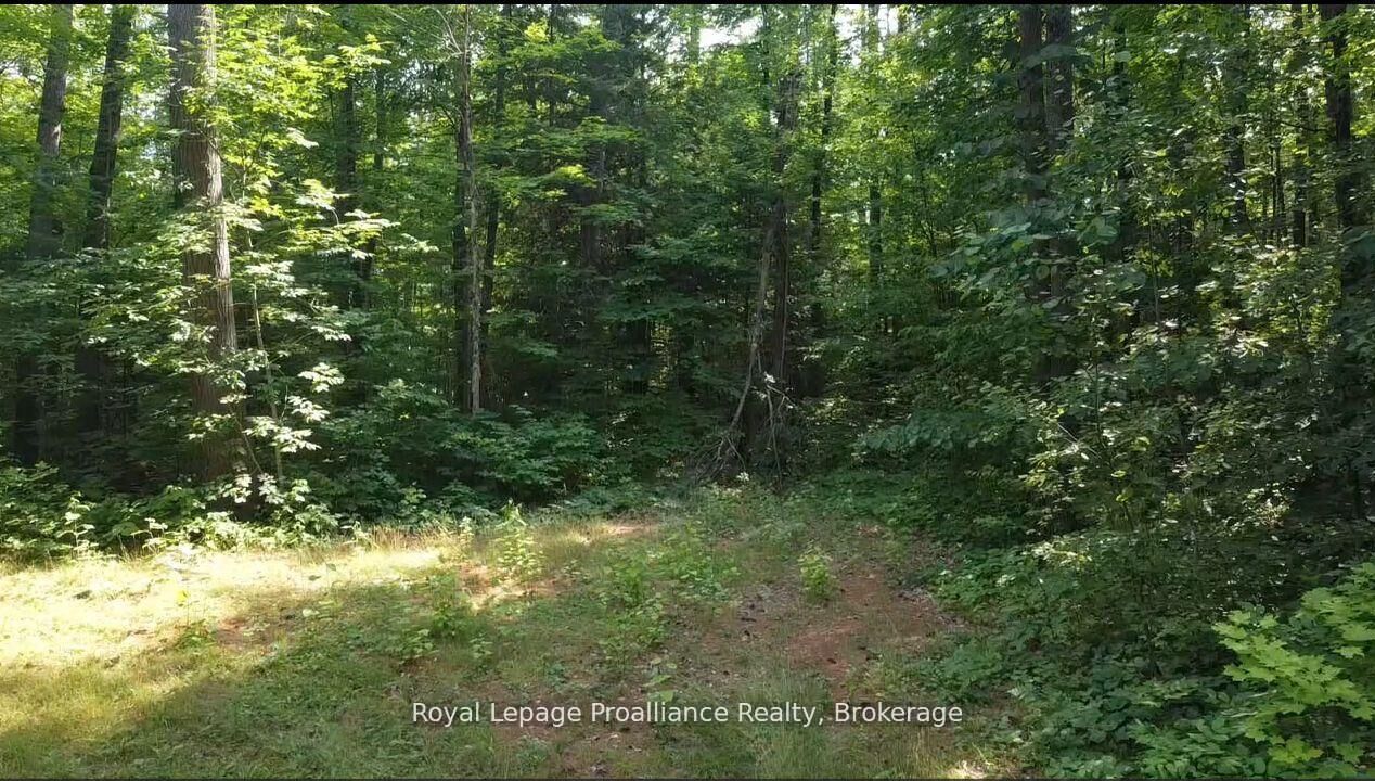 Property Photo:  Pt Lt 22 Sunrise Beach Lane  ON K0H 1K0 