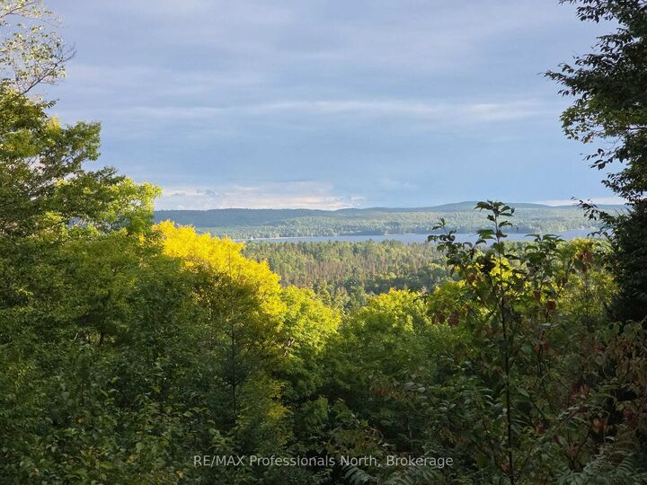 Property Photo:  364 Forestry Tower Road  ON P0A 1M0 