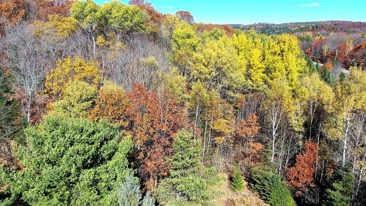 Property Photo:  178 Gaebel Road  ON K0L 1C0 
