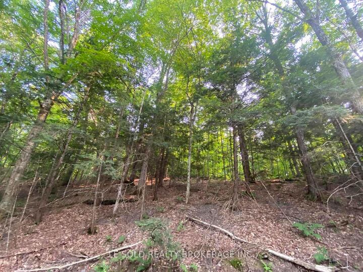 Property Photo:  1310 Camel Lake Road Lot # 7  ON P1L 1X4 