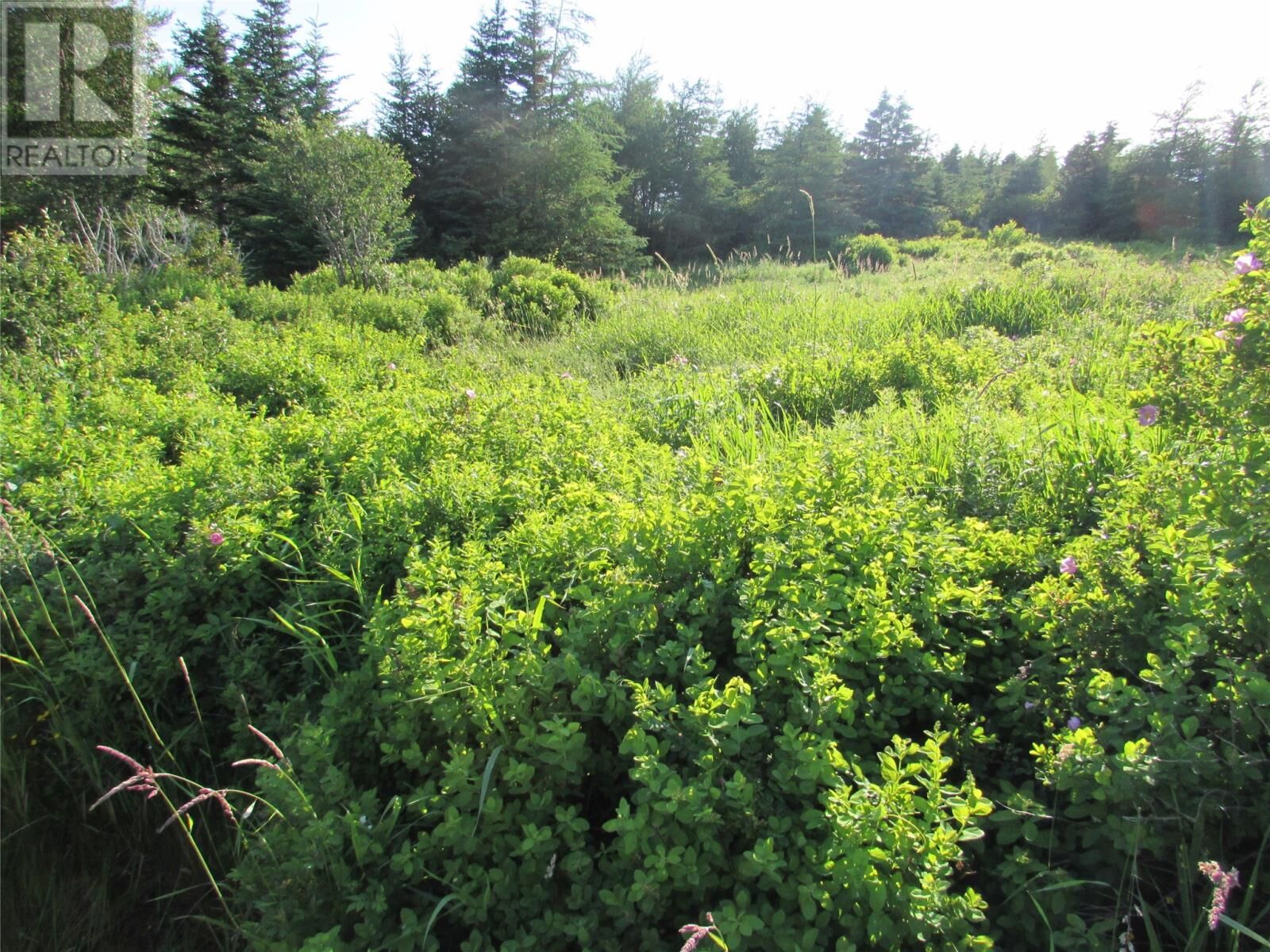 Property Photo:  16 A Salmonier Line  NL A0A 2R0 